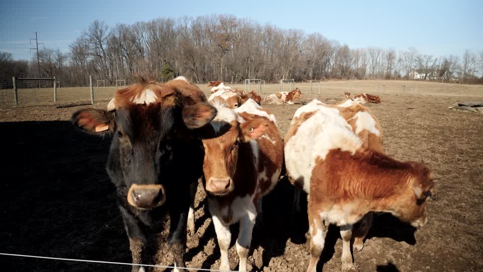 20220209-FPAC-RockHillDairy003