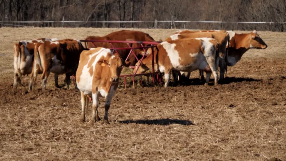 20220209-FPAC-RockHillDairy025