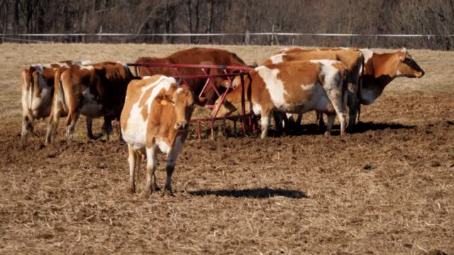 20220209-FPAC-RockHillDairy025