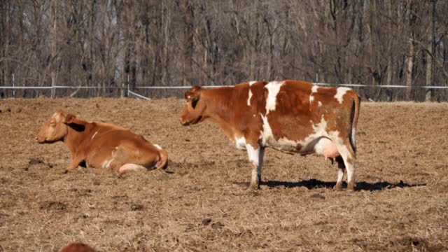 20220209-FPAC-RockHillDairy023
