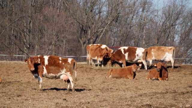 20220209-FPAC-RockHillDairy022
