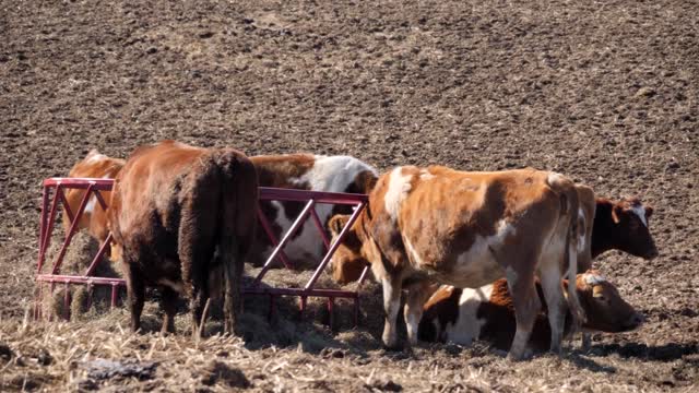 20220209-FPAC-RockHillDairy020