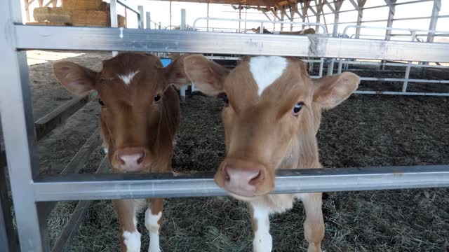 20220209-FPAC-RockHillDairy013