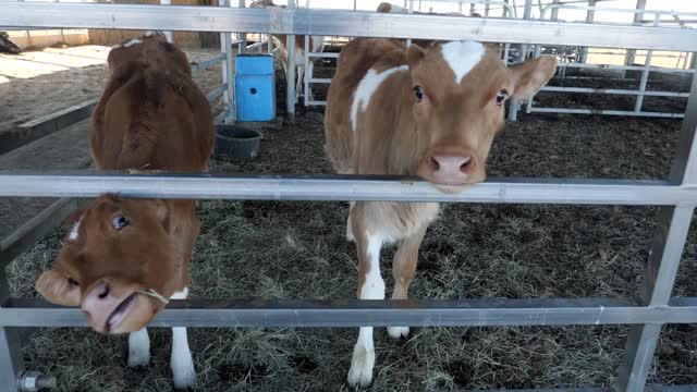 20220209-FPAC-RockHillDairy012