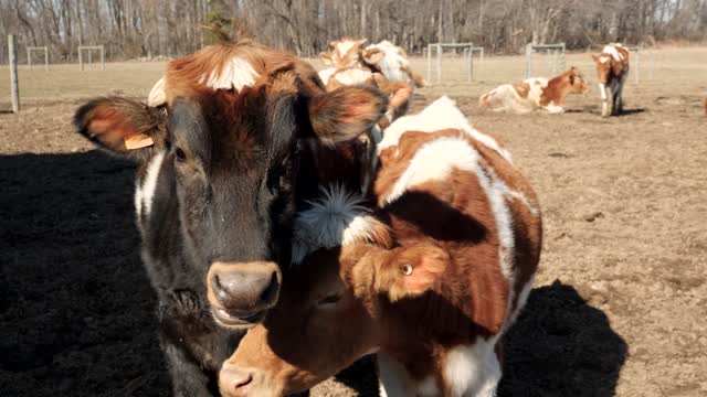 20220209-FPAC-RockHillDairy002