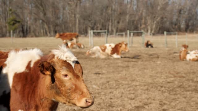 20220209-FPAC-RockHillDairy005