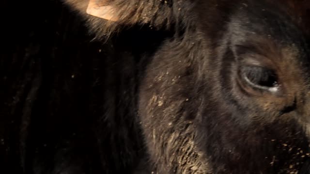 20220209-FPAC-RockHillDairy007