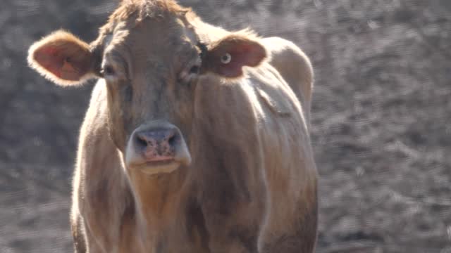 20220209-FPAC-RockHillDairy018