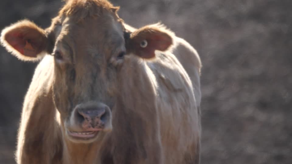 20220209-FPAC-RockHillDairy017