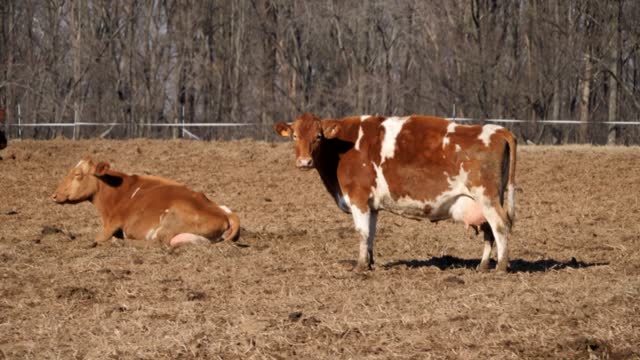 20220209-FPAC-RockHillDairy024