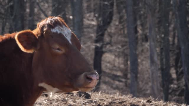 20220209-FPAC-RockHillDairy019