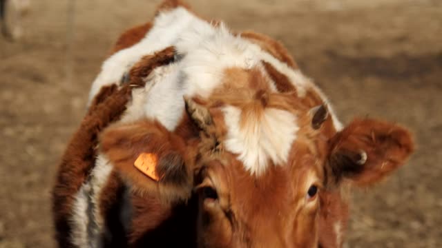 20220209-FPAC-RockHillDairy011