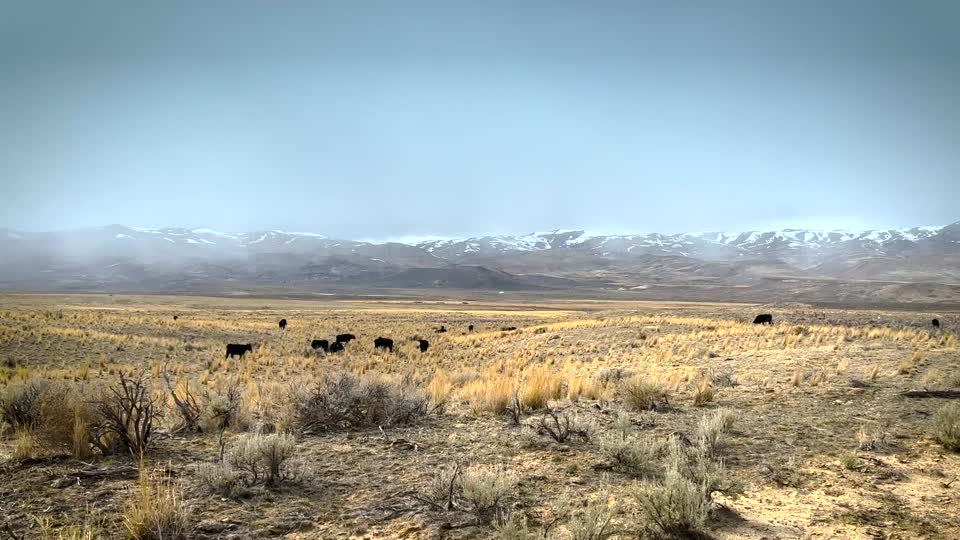 20220313-FPAC-KS-0001_TONED