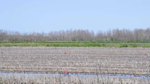 20220312-OC-LSC-0156-CLIP