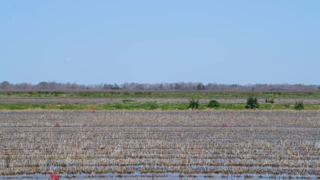 20220312-OC-LSC-0157-CLIP