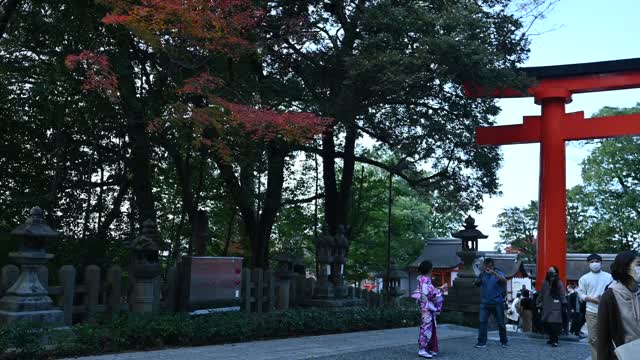 伏見稲荷/Fushimi Inari Shrine
