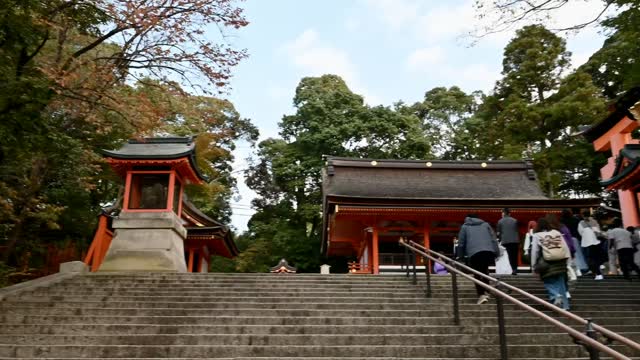 伏見稲荷/Fushimi Inari Shrine