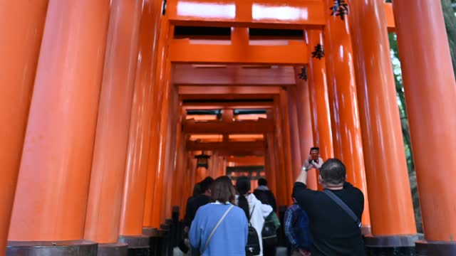 伏見稲荷/Fushimi Inari Shrine