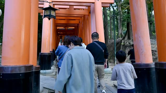 伏見稲荷/Fushimi Inari Shrine