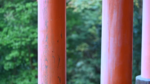 伏見稲荷/Fushimi Inari Shrine