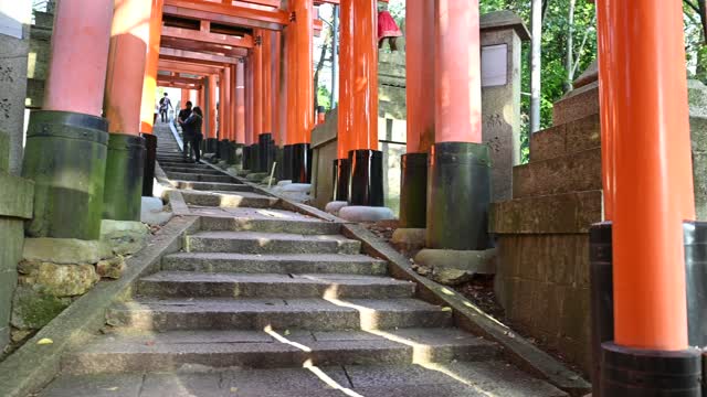 伏見稲荷/Fushimi Inari Shrine