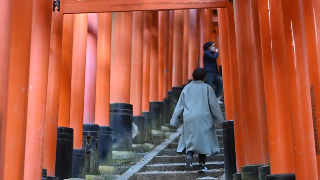 伏見稲荷/Fushimi Inari Shrine