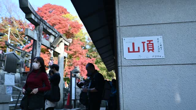 伏見稲荷/Fushimi Inari Shrine