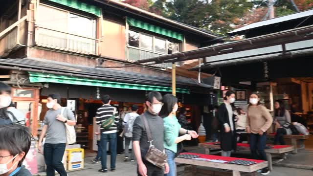 伏見稲荷/Fushimi Inari Shrine