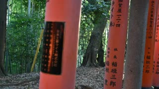 伏見稲荷/Fushimi Inari Shrine