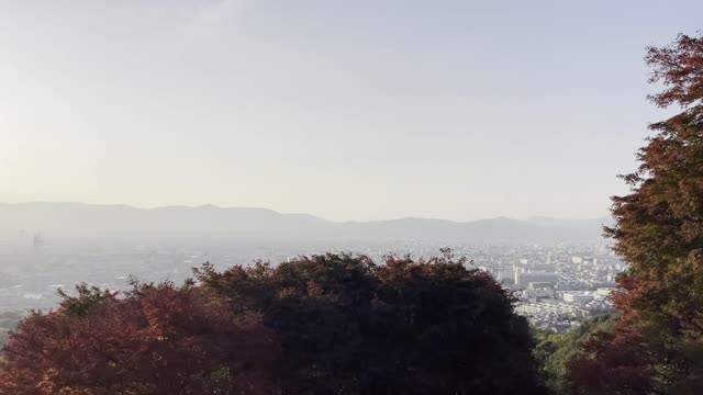 伏見稲荷/Fushimi Inari Shrine