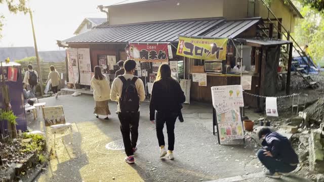 伏見稲荷/Fushimi Inari Shrine