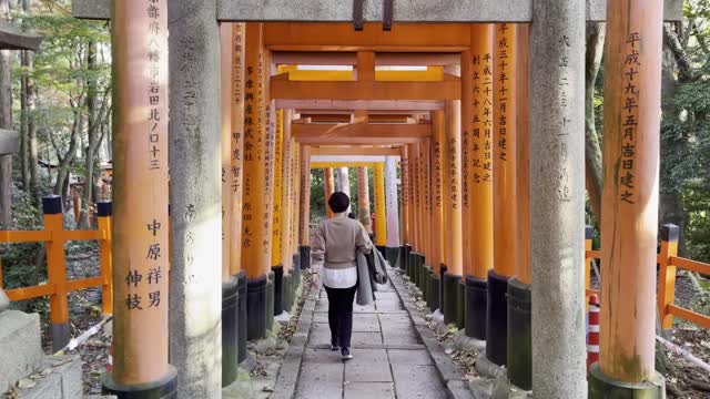 伏見稲荷/Fushimi Inari Shrine