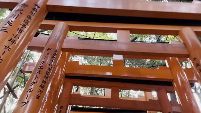 伏見稲荷/Fushimi Inari Shrine