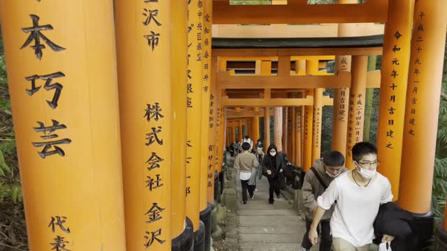 伏見稲荷/Fushimi Inari Shrine