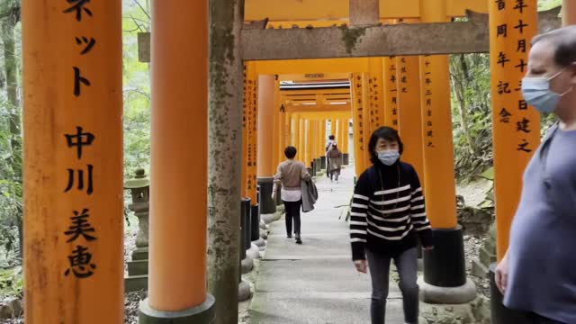 伏見稲荷/Fushimi Inari Shrine
