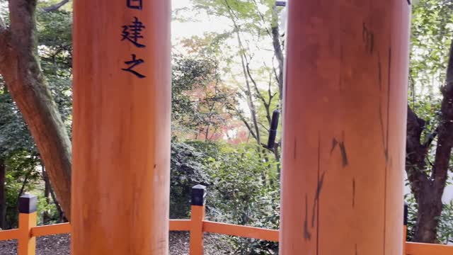 伏見稲荷/Fushimi Inari Shrine