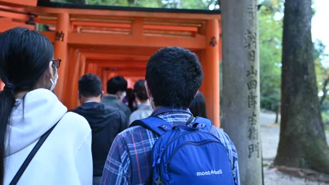 伏見稲荷/Fushimi Inari Shrine
