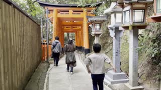 伏見稲荷/Fushimi Inari Shrine