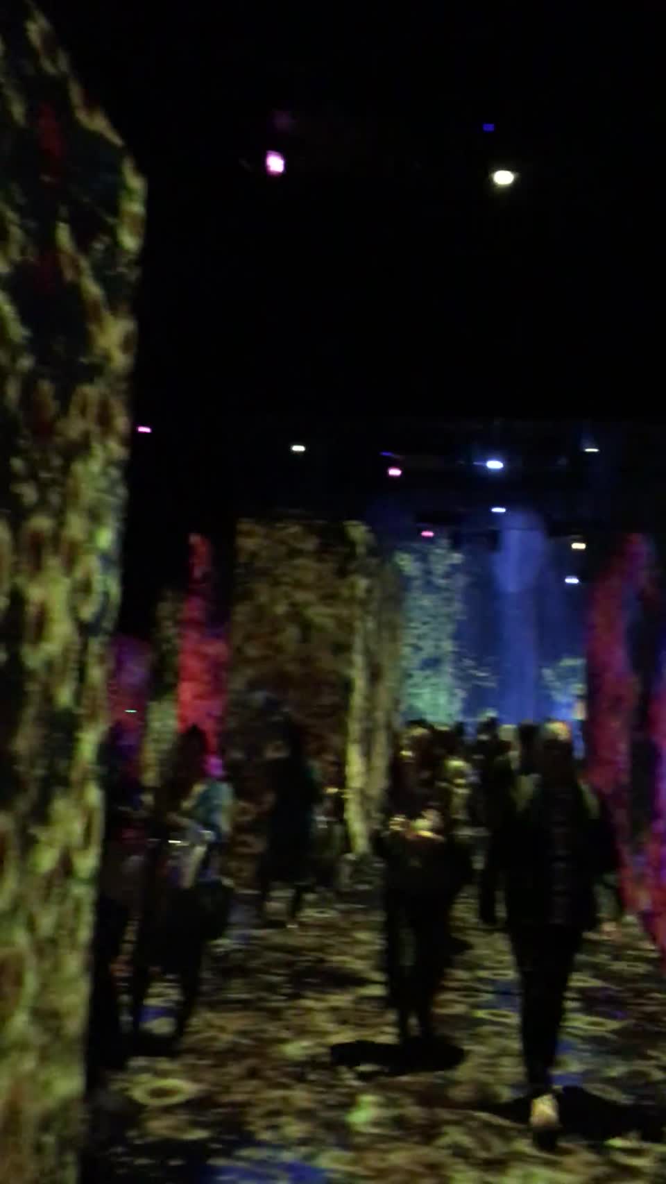 teamLab Borderless Odaiba