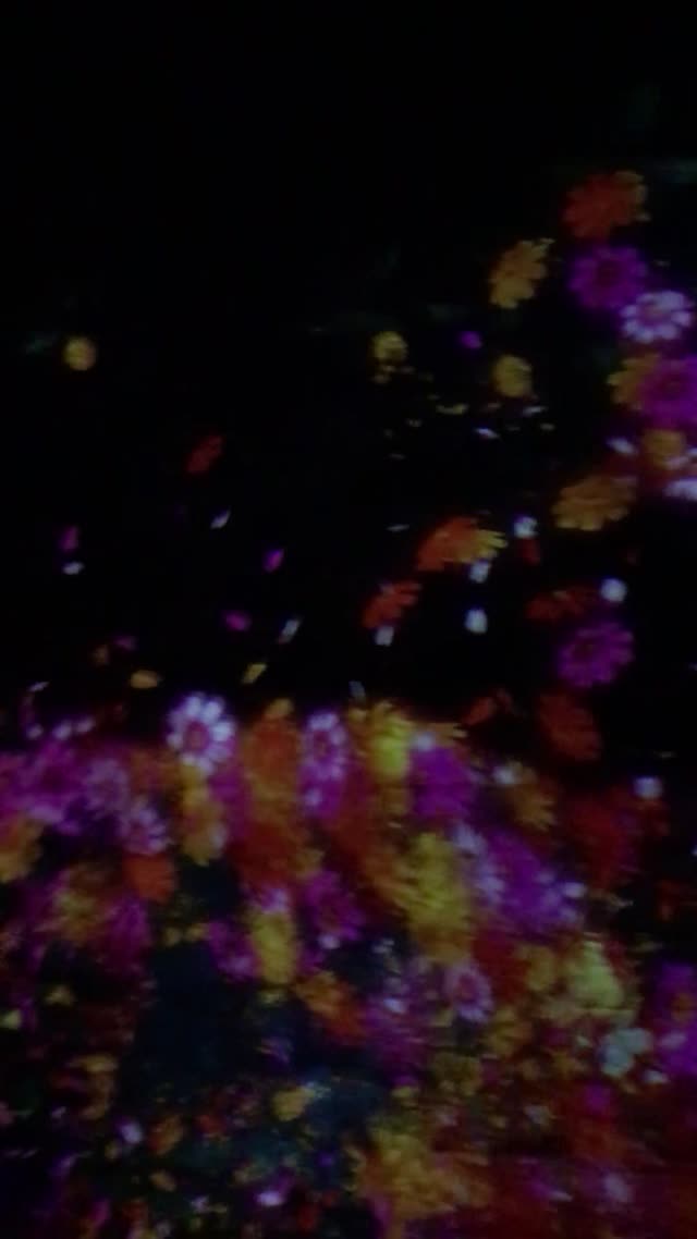 teamLab