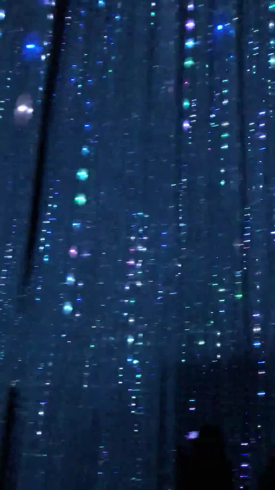 teamLab Borderless
