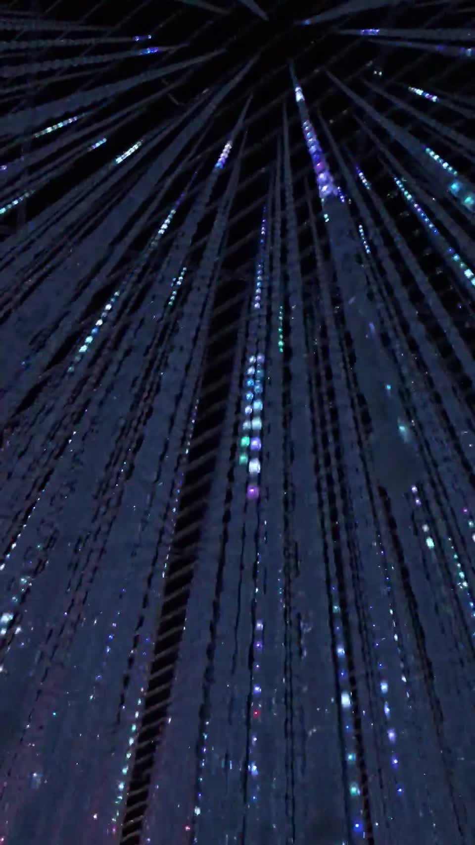 teamLab Borderless Odaiba