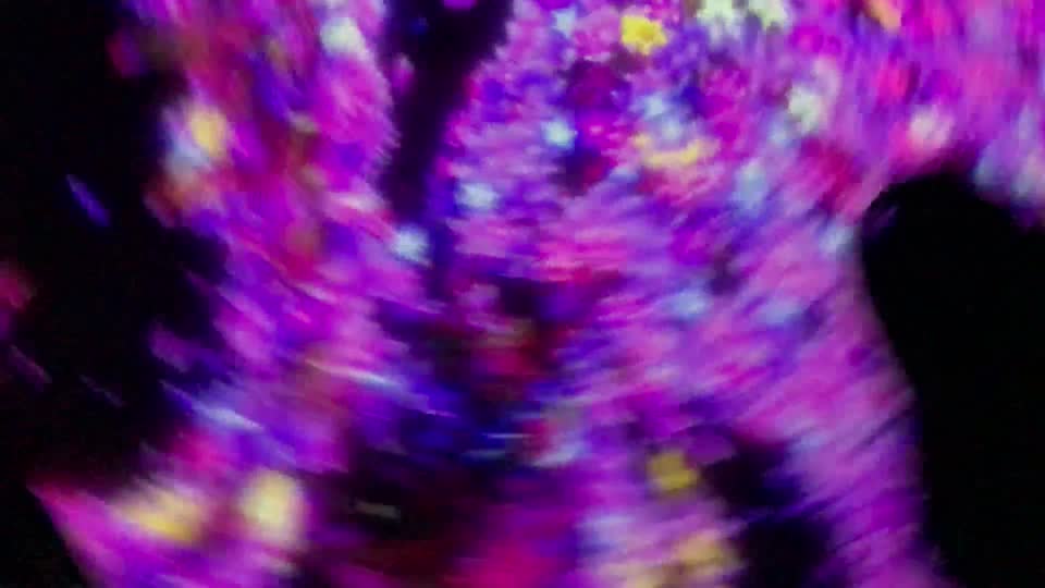 teamLab Borderless Odaiba