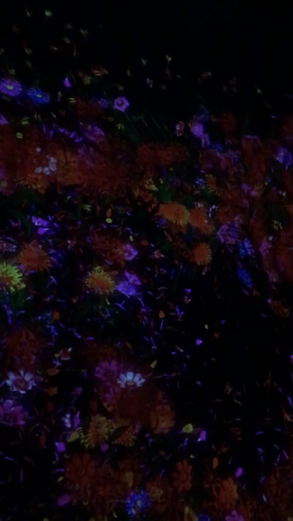 チームラボボーダレス お台場 teamLab Borderless