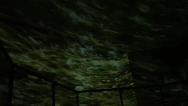 teamLab