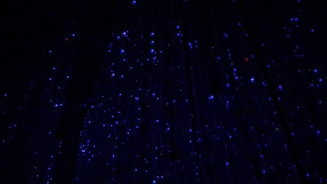 チームラボボーダレス お台場 teamLab Borderless