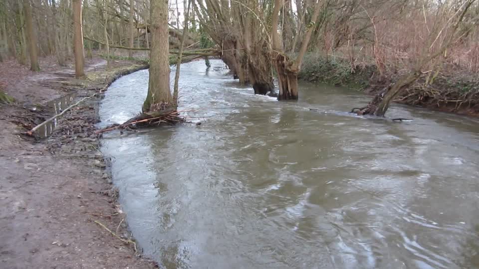 Hochwasser an der Bega