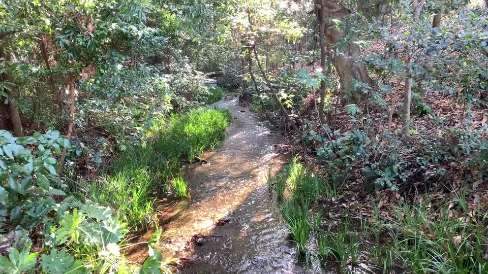 Minamisawa Ryokuchi Conservation Area in Higashikurume-shi