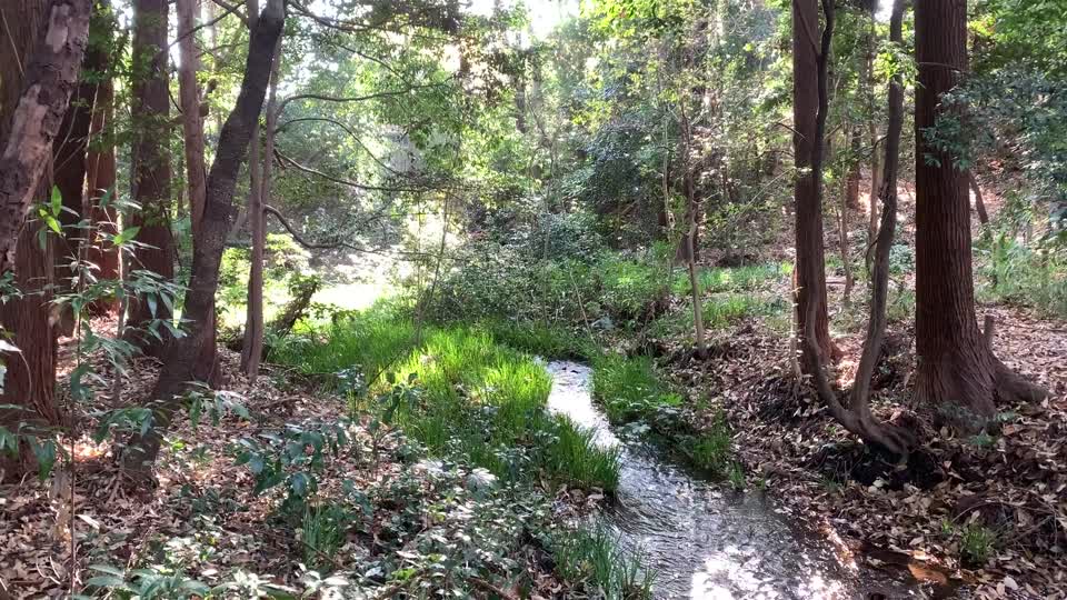 Minamisawa Ryokuchi Conservation Area in Higashikurume-shi