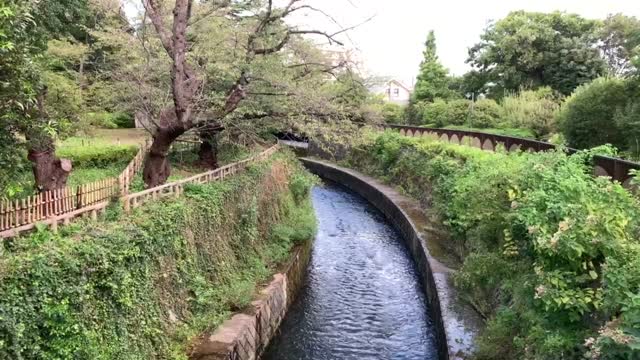 Myoshoji River in Matsugaoka, Nakano-ku